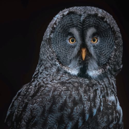 Sierra Nevada Science and Conservation Program Photo